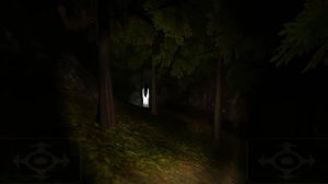Path Through the Wildwood