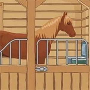 Horse Haven Room Riddle