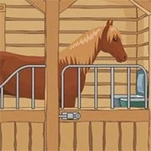 Horse Haven Room Riddle