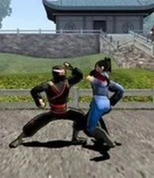 Dragon Fist 3D Arena