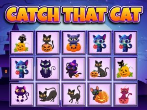 Catch That Cat Observation Puzzle