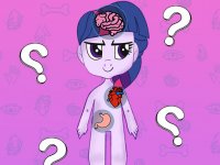 Pony Friends Body Puzzle