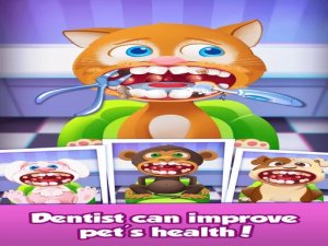 Pet Vet Animal Care Game