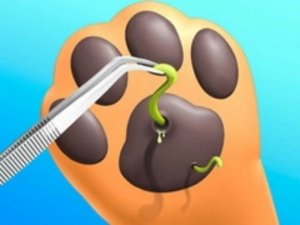 Paw Care: 3D Vet Simulator
