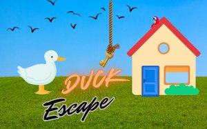 Duck Escape: Key Quest Online Game