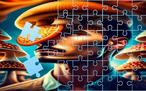 Mushrooms Jigsaw Block Blitz Puzzle Slider