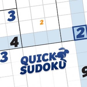 Quick Sudoku Puzzle Game