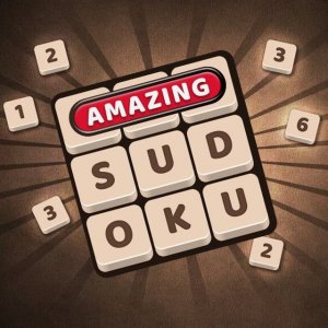 Amazing Sudoku Puzzle Game