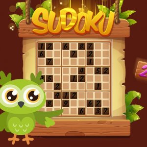 Sudoku 4 in 1 Logic Puzzle