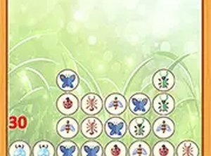 Insect Link Puzzle Challenge